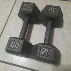 Pair Of 20lb Weights Dumbells Hand Weights Dummbells 
