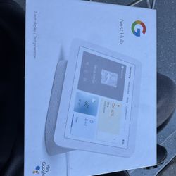 Nest Hub