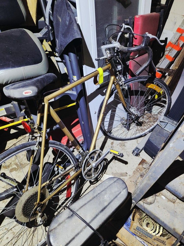 1976 Motorbacane 12 Speed Touring Nike