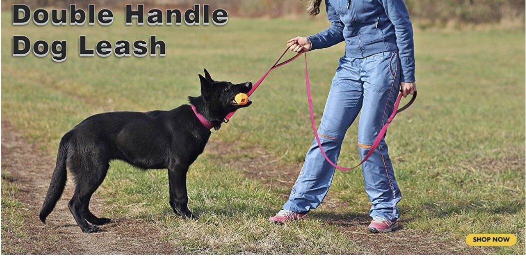 Lego 5ft Dog Double Leash