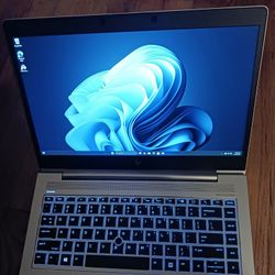 Like New HP EliteBook Hi Speed Laptop Intel Core i7-8565u 4.6 GHz Turbo 8 GB RAM 256 GB SSD Webcam 1080P LCD USB C Port Wi-Fi & BT Wireless Win 11 PRO