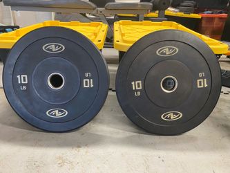 Pair of 10lb Bumper Weight Plates