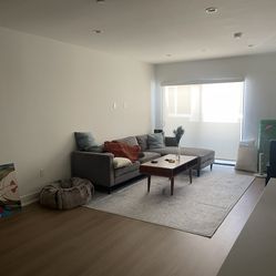 Grey Fitted Couch With Ottoman