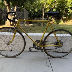 Tall Vintage 1970s Schwinn Varsity Road Bicycle In Yellow