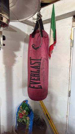 Everlast Punching Bag