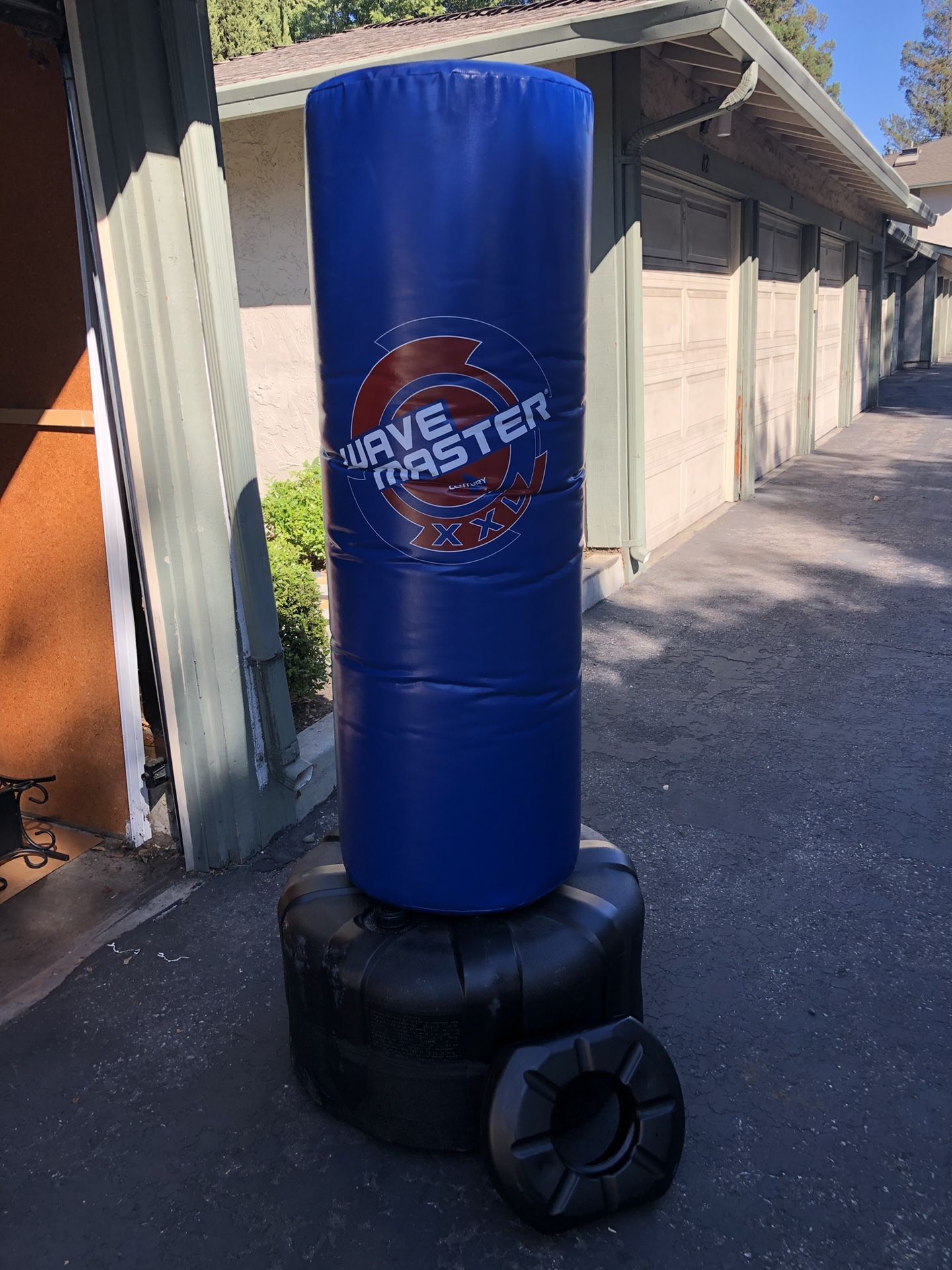 Punching Bag Set