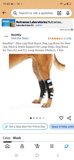 Dog and  Cat Rear Leg Brace