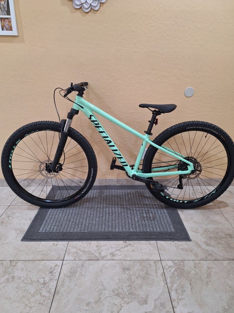 SPECIALIZED ROCKHOPPER COMP 29 ER 1 X 9 SPEED LIKE NEW( CHECK MY OTHER BIKES)
