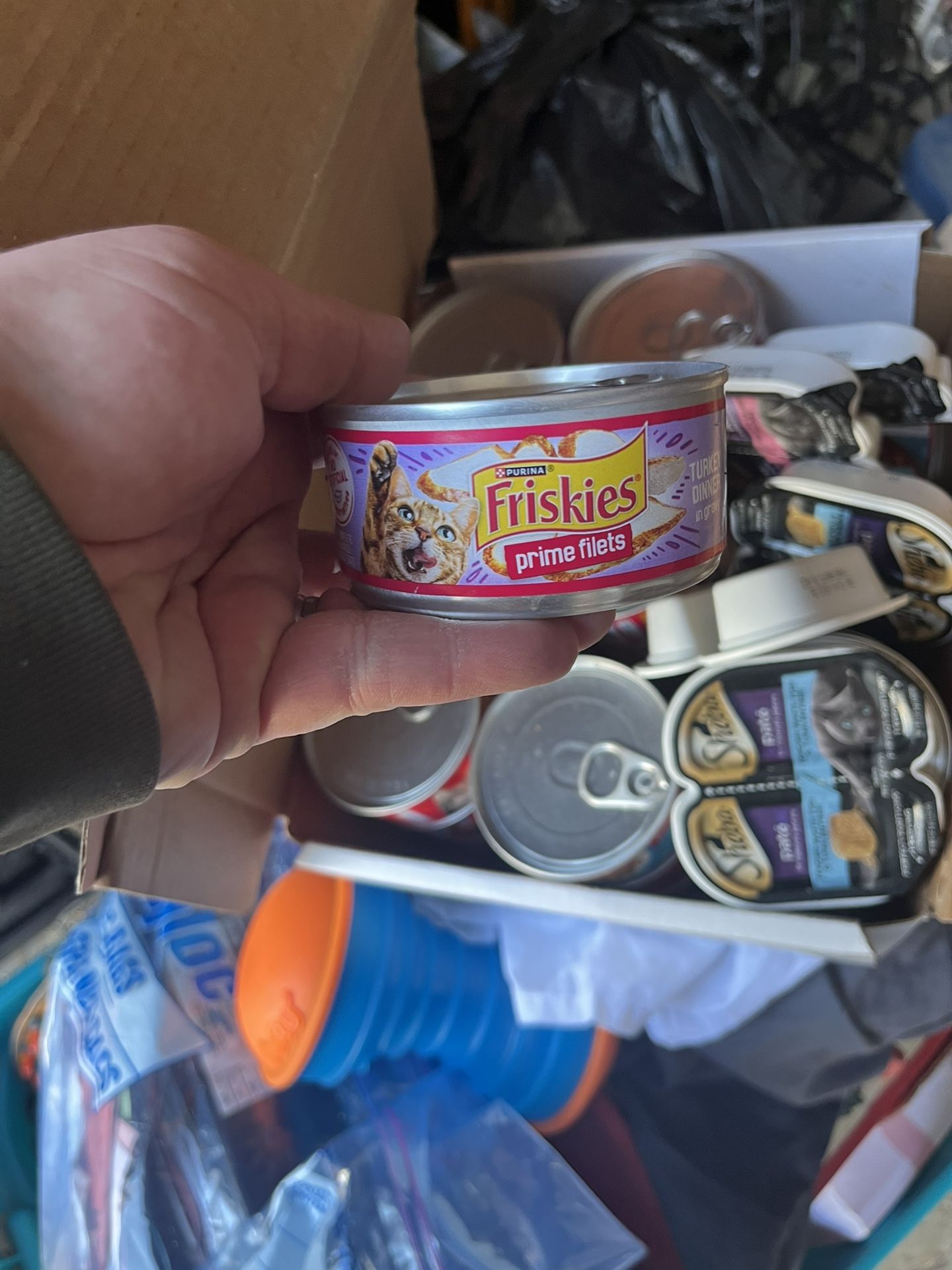Cat Good Expectation Is 2026 20 Plus Cans