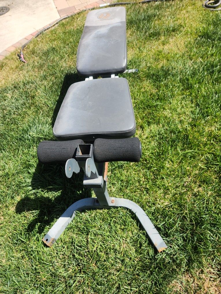 Exercise Bench