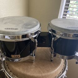 Lp Bongos