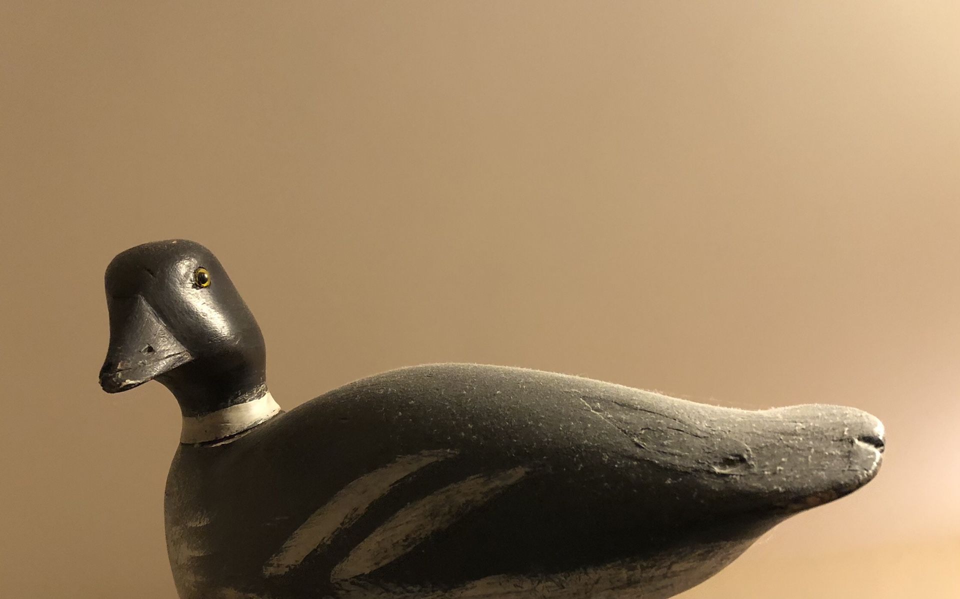 Patterson duck from 1920