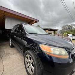 2009 Hyundai Santa FE