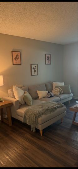 West Elm Couch