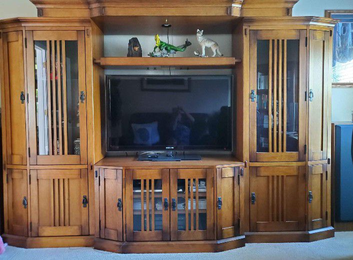 Wall Entertainment Center (Must See)
