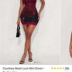 Fashion Nova Mesh Lace Mini Dress