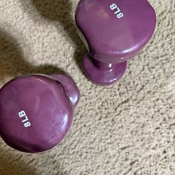 Pair of neoprene dumbbells