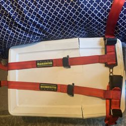 Scrhoth 4 Point Seat Harness With ASM