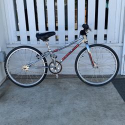 Kids Bike Chrome Red Line Original Bike 