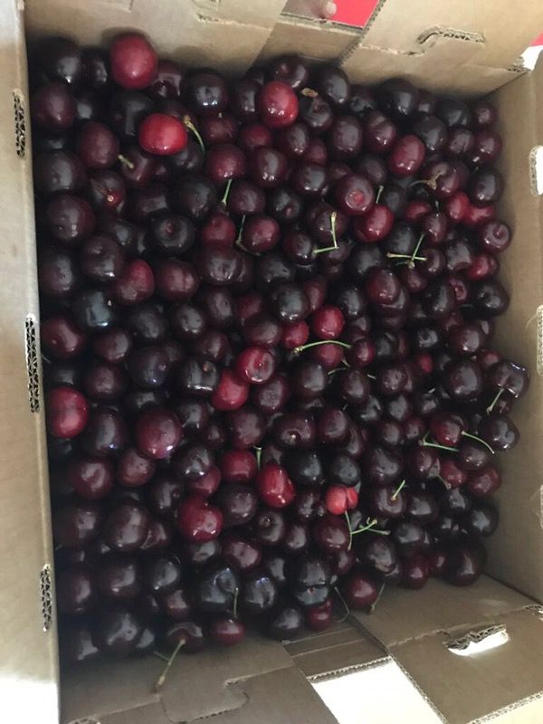 Cherries
