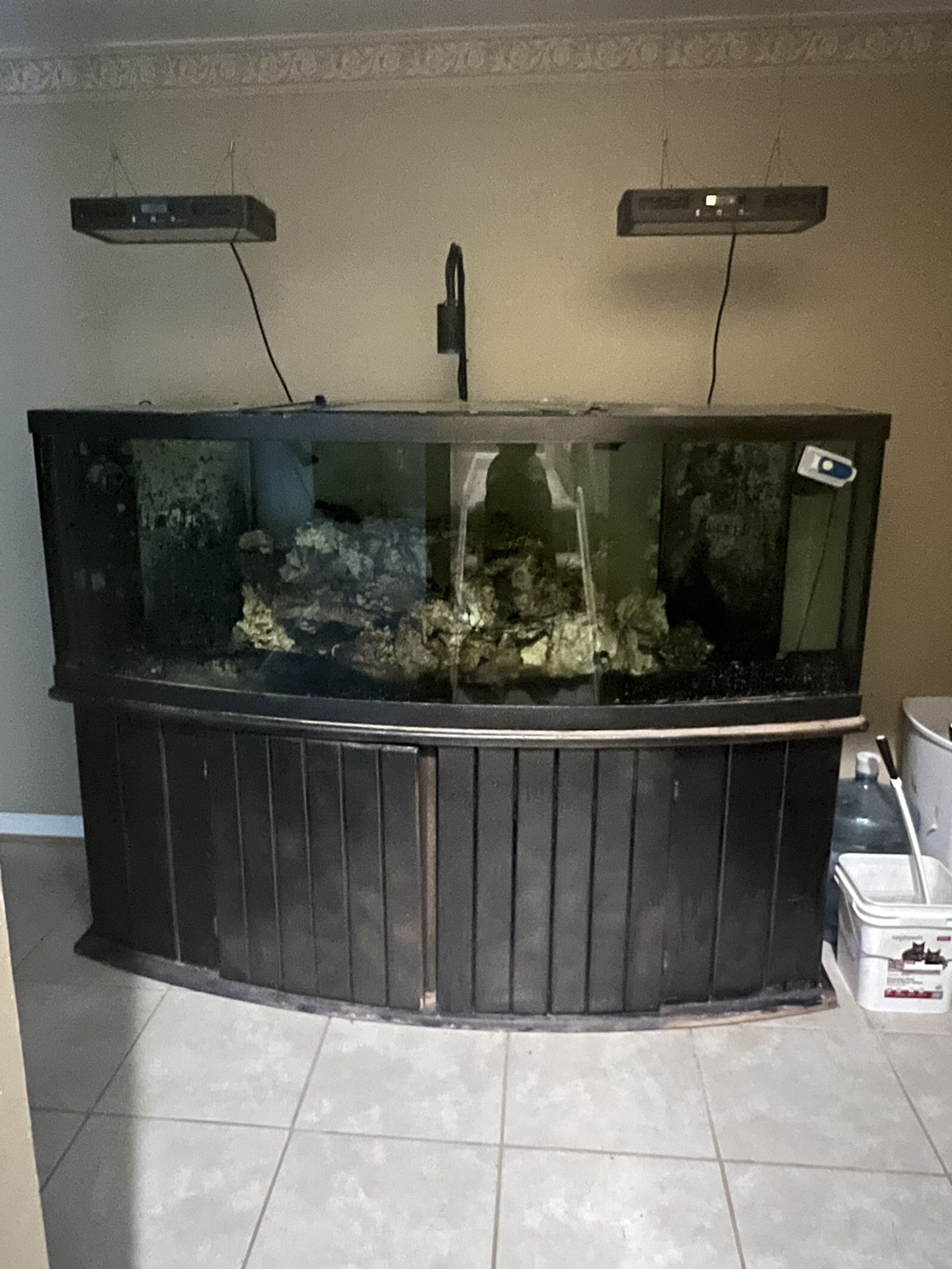 180 Gallon Bow front Aquarium