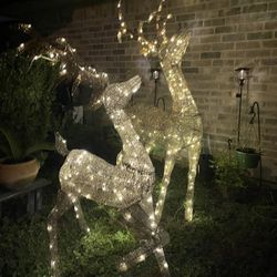 2 venaditos Navideños 