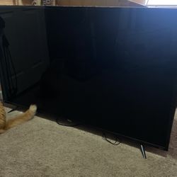 TCL 65” Tv Cracked Screen Needs To Be Fixed