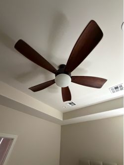 Ceiling fans