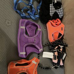 Small And Medium Dog Harnesses