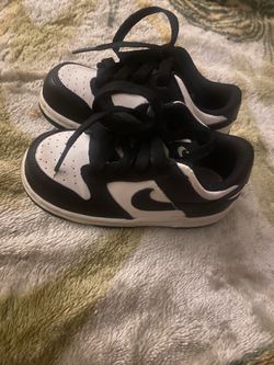 8c toddler dunks