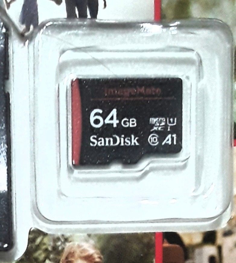 64 GB SanDisk Micro SD Cards.