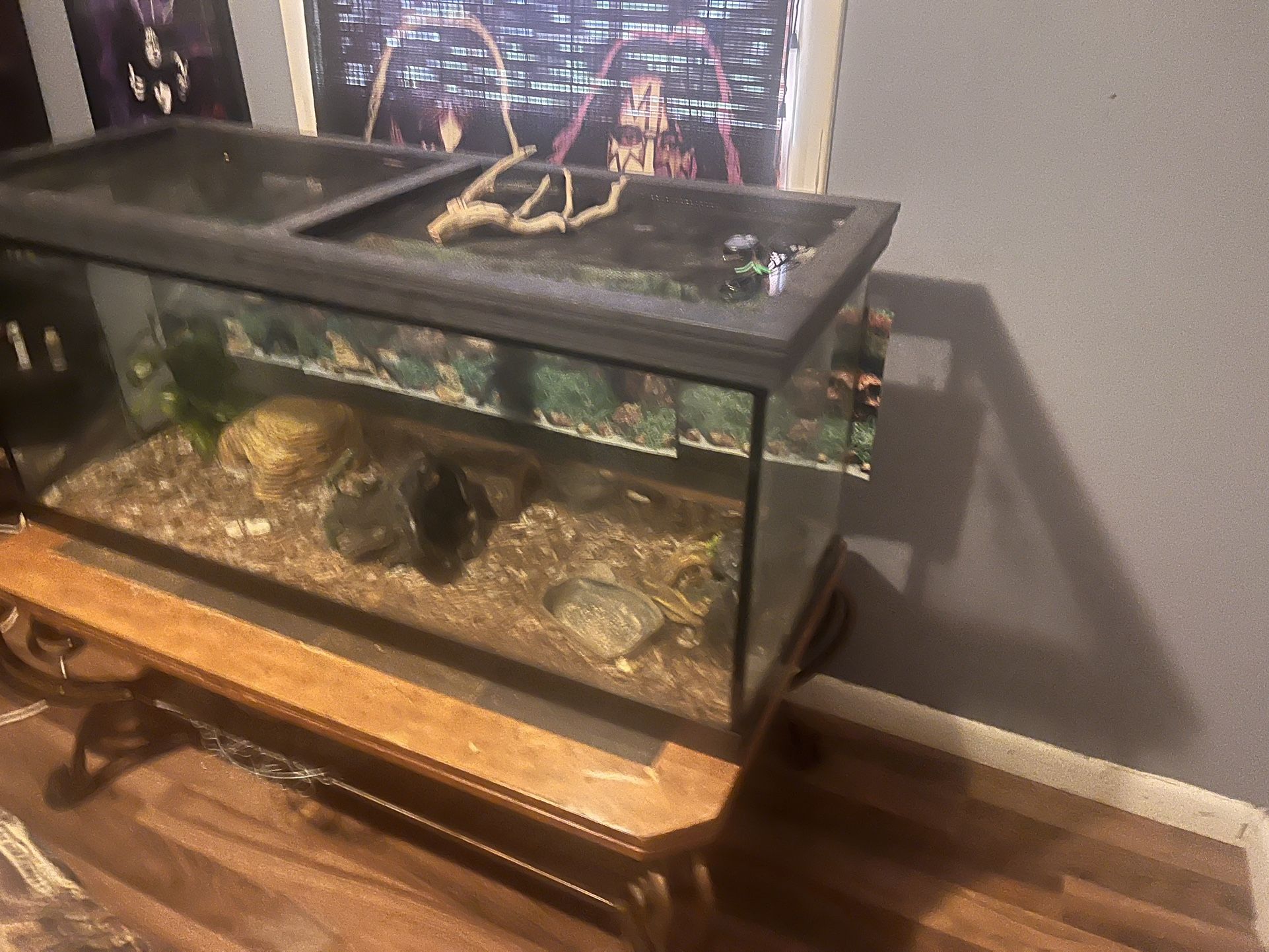 55 Gallon