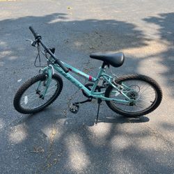 Huffy 20 in. Granite Girls Mountain Bike