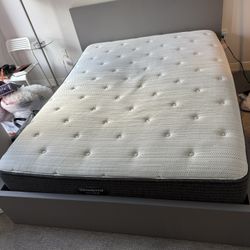 Queen Sized IKEA Bed Frame - $60 ($90 With Mattress Included) Must Disassemble 