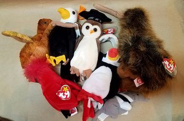 Beanie Babies With Tags