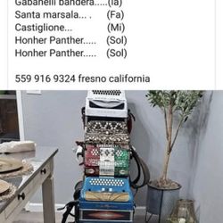 Acordeónes Gabanelli Y Más 