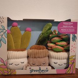 Greenhouse Plush Plants