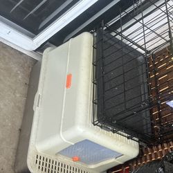 Litter Box