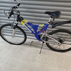 21 Speed Mountain Bike 