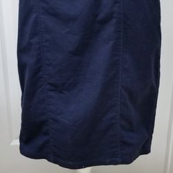 Ann Taylor Womens Navy Blue Skirt 