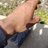 Kaleb