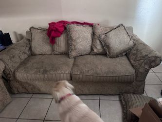 couches