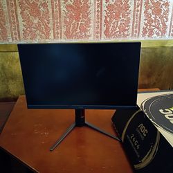 Computer Monitor 