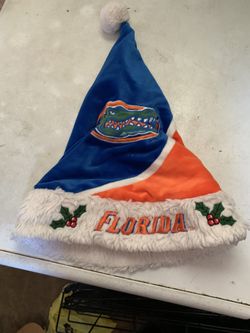Florida Christmas Hat