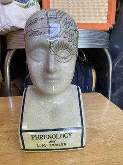 Decorative Phrenology Bust