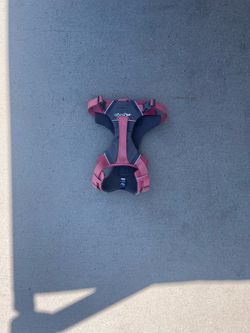 Harness