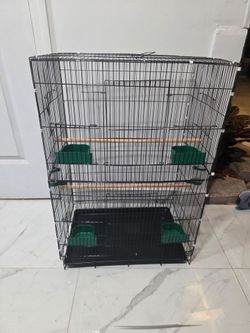 Bird Cage