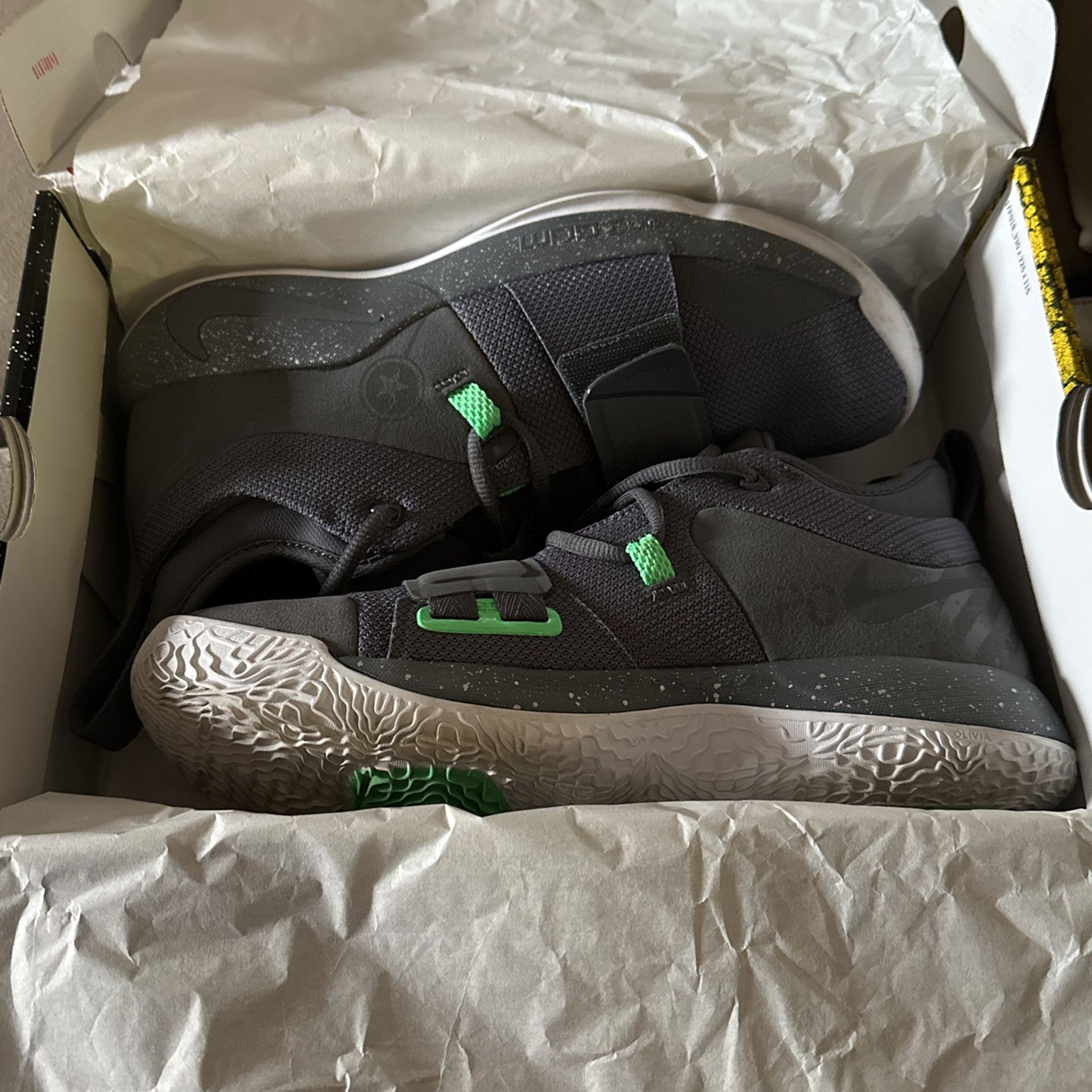 Pg2.5