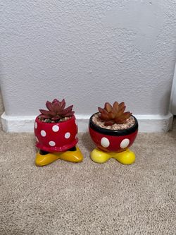 Disney Succulent fake plants