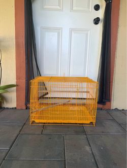 Bird cage yellow